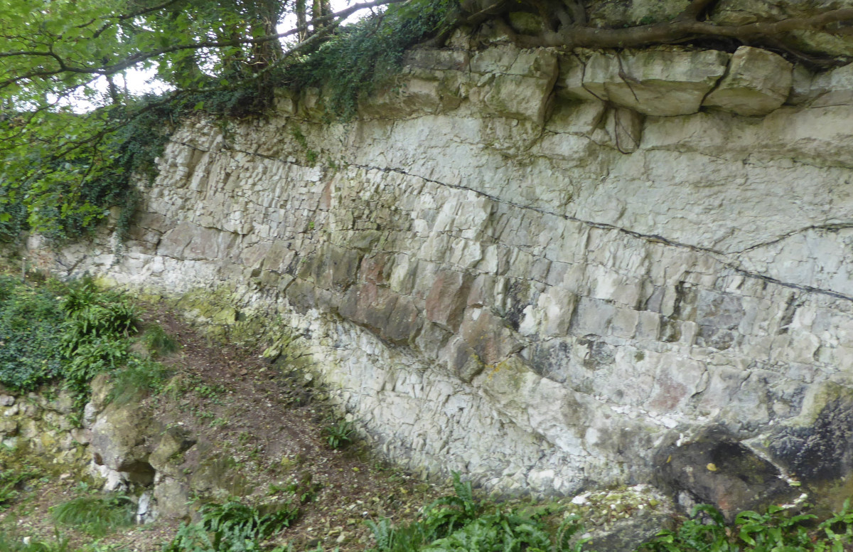 Dorset’s Important Geological Sites Group (DIGS) – Geological Conservation workparty
