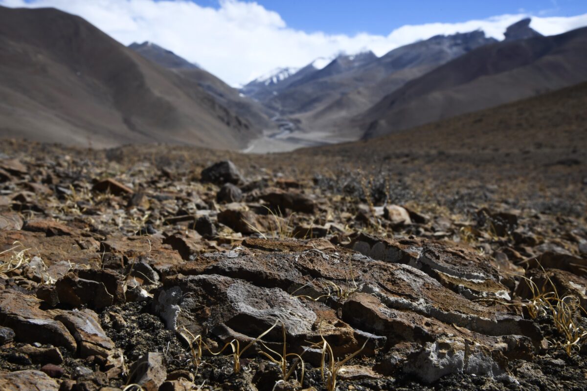 Talk – From Tethys to the Himalaya — Fossil Fishes Witnessed the Qinghai-Tibetan Plateau’s Dramatic Transformation