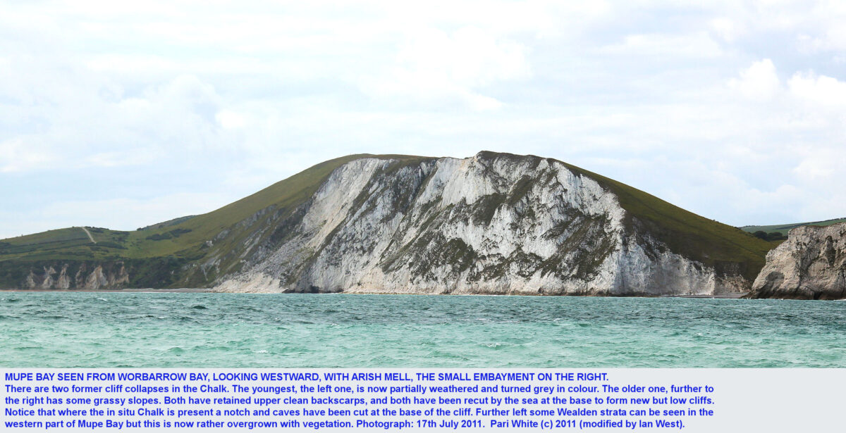 Field Trip: Lulworth – Mupe Bay and Fossil Forest – Saturday 28th Feb 2026