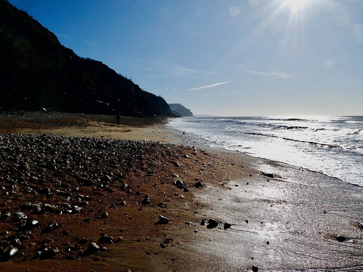 Field Trip: Charmouth Fieldtrip – Geology and Fossils of the Jurassic Coast at Charmouth