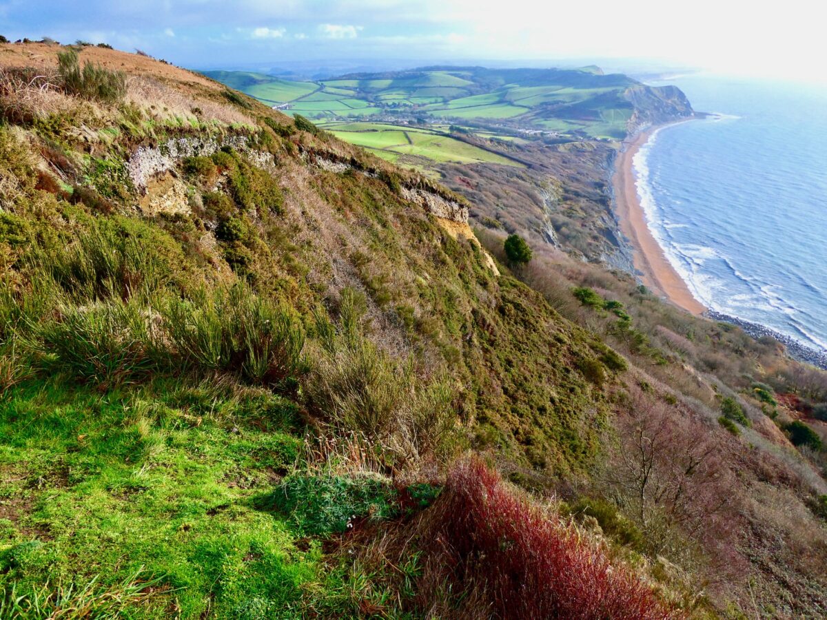 Field Trip: Guided Walk – Saturday 16 May 2026: Golden Cap and Hardown Hill, Dorset