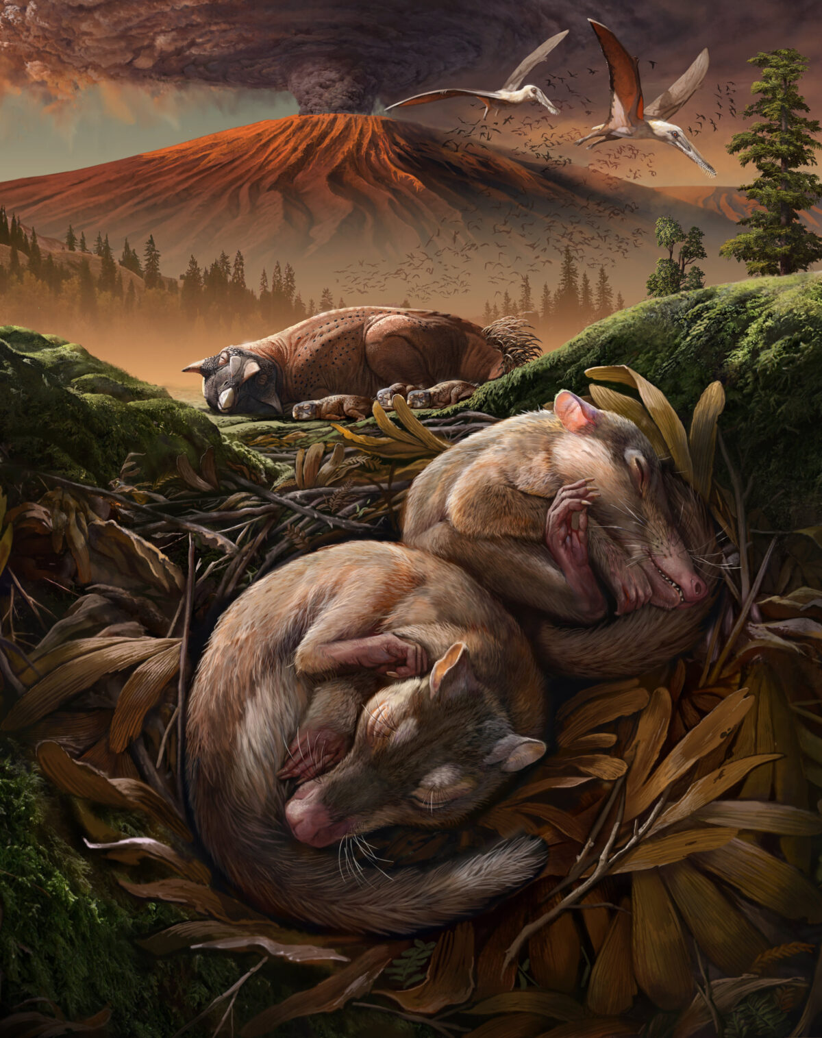 Talk- Listening to the past: The extraordinary evolution of the mammalian middle ear